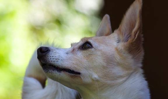 ����Ҫ��ʲô�Ͷ����˴󺰣������Բ��ԣ��������ˣ�Ҫ��