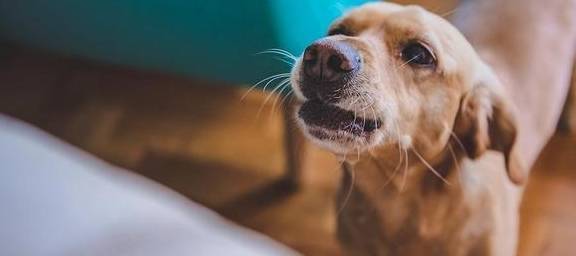 ����Ҫ��ʲô�Ͷ����˴󺰣������Բ��ԣ��������ˣ�Ҫ��