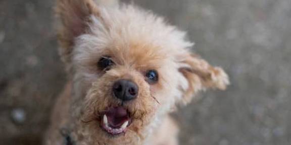 ����Ҫ��ʲô�Ͷ����˴󺰣������Բ��ԣ��������ˣ�Ҫ��