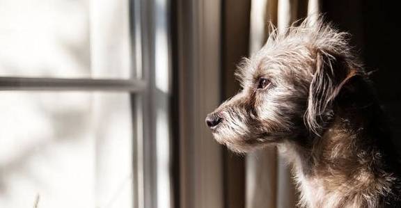 ����Ҫ��ʲô�Ͷ����˴󺰣������Բ��ԣ��������ˣ�Ҫ��