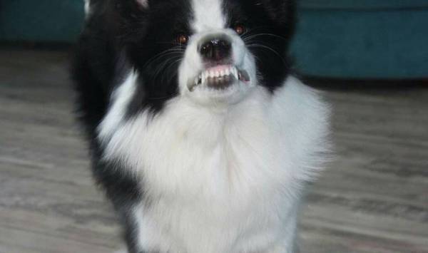 ����Ϊʲô��Ȼ�����������˳ɾ����㴥�������ĵ��µ��ߣ�������