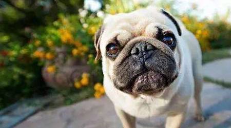 ����Ϊʲô��Ȼ�����������˳ɾ����㴥�������ĵ��µ��ߣ�������