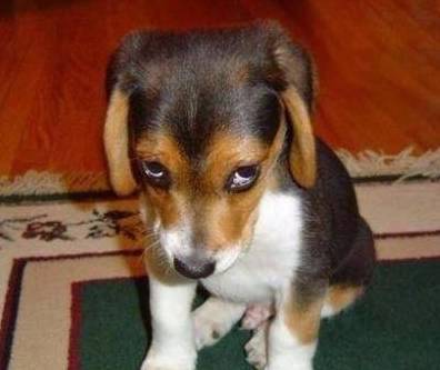 ����Ϊʲô��Ȼ�����������˳ɾ����㴥�������ĵ��µ��ߣ�������