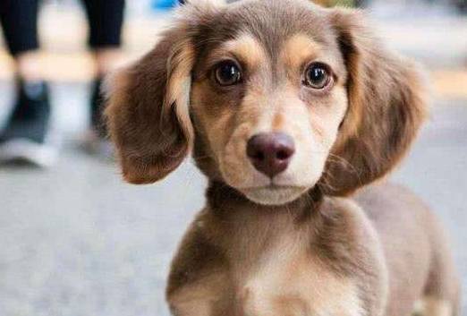 ����Ϊʲô��Ȼ�����������˳ɾ����㴥�������ĵ��µ��ߣ�������