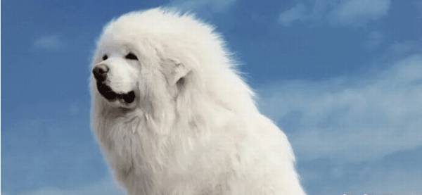 �����ѵ�������ѵ�����ᰲ��