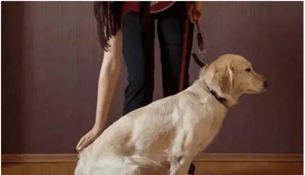 ѵ������������ʳ���շ��ȽϺ�