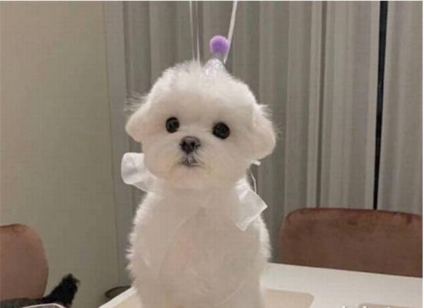 ���ʹ����ʳ��ѵ����