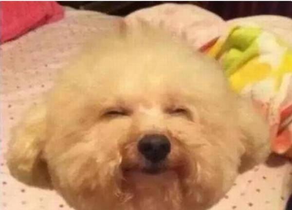 ��ë����Ȯ������ν�