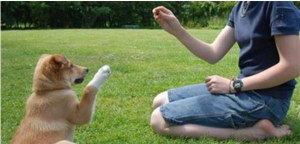 ȡ�óɹ�ѵ����ëȮ�ķ�ʽ