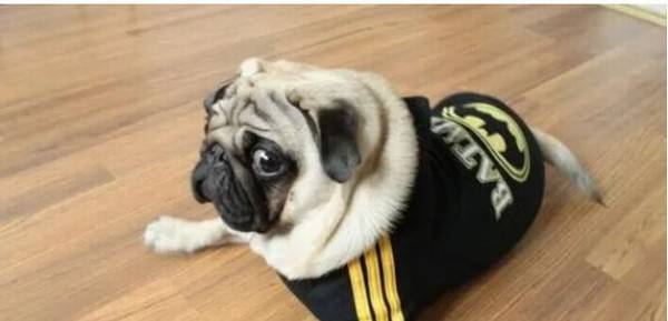 �͸�Ȯ���̸߲��ߣ��͸�Ȯ��ѵ����