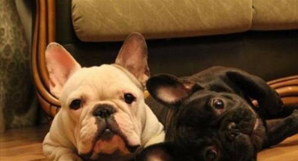 ������Ȯ��ôѵ����ʺ��