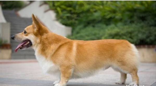 �»�������Ҫ���Ķ����ѵ