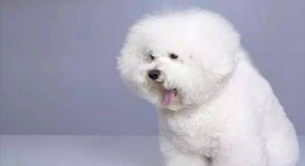 ����Ȯ���ʲô����