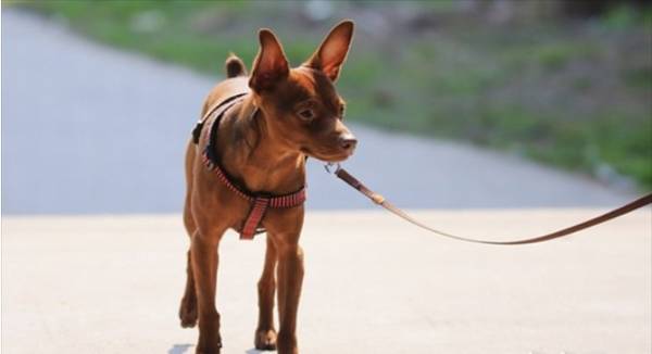 ��ôѵ��С¹Ȯ��С��