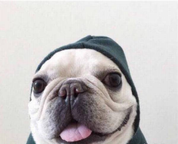 �����̷�����ţȮ�úõ��ϲ�����