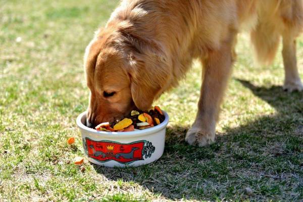 ���´��μ������������е�8�󳣼�����һ��Ҫ�����˽⣡