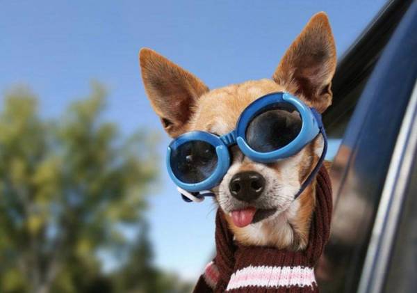 ���´��μ������������е�8�󳣼�����һ��Ҫ�����˽⣡