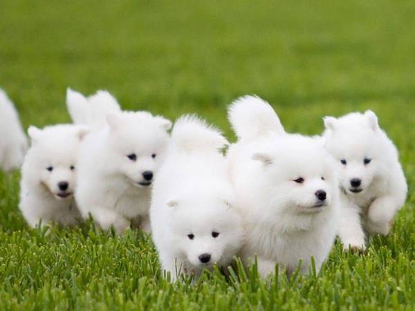 ���´��μ������������е�8�󳣼�����һ��Ҫ�����˽⣡