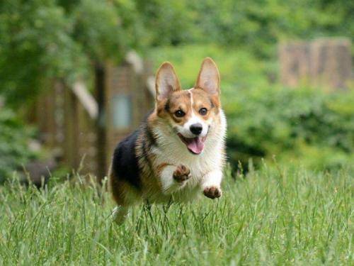 ���´��μ������������е�8�󳣼�����һ��Ҫ�����˽⣡