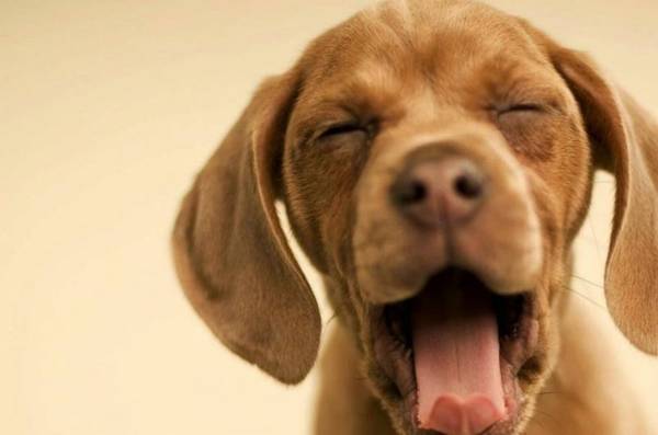 ������������һֱ������˽����ʵ�������ң�����һ����ȡ��