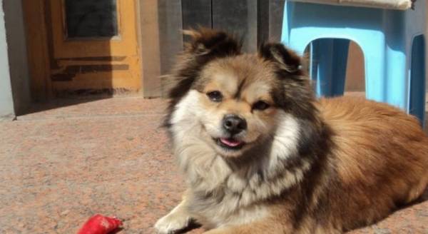 ������������һֱ������˽����ʵ�������ң�����һ����ȡ��