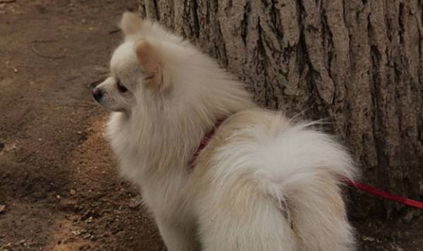 ������������һֱ������˽����ʵ�������ң�����һ����ȡ��