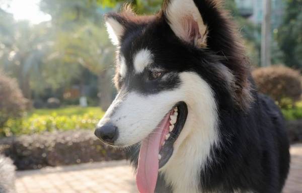 ������������һֱ������˽����ʵ�������ң�����һ����ȡ��