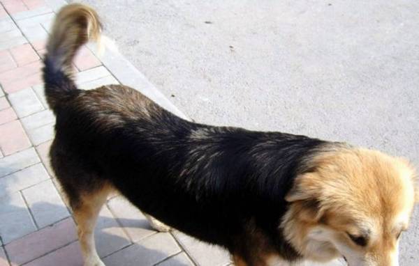 ������������һֱ������˽����ʵ�������ң�����һ����ȡ��