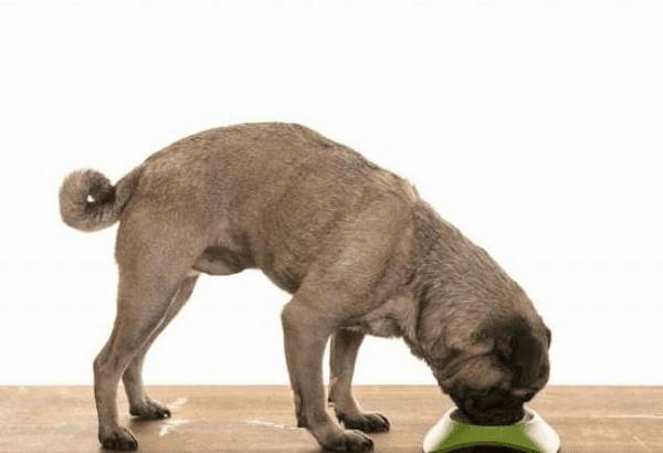 �ߵ��׹������˺�