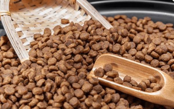 怎样挑选好狗粮?4大层面要留意! 怎样挑选好狗粮?4大层面要留意!