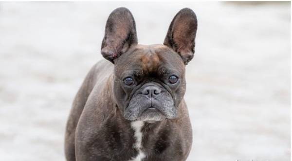 ����һ����Ƕ��ٹ����ʺϣ�