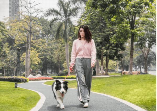 带狗狗遛弯,这几个方法不可以有,对狗狗不太好 带狗狗遛弯,这几个方法不可以有,对狗狗不太好