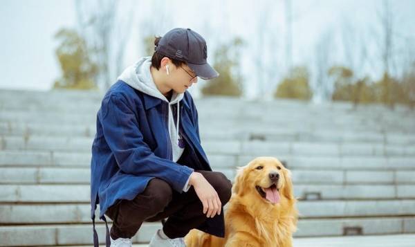冬季最好遛狗時间是什么时候?必须注意什么? 冬季最好遛狗時间是什么时候?必须注意什么?