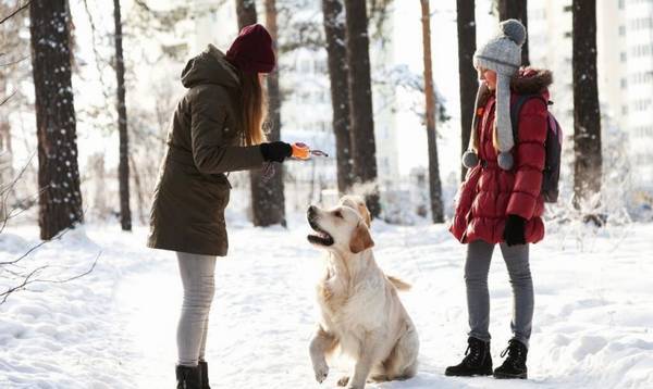 ��������޹��r����ʲôʱ�򣿱���ע��ʲô��