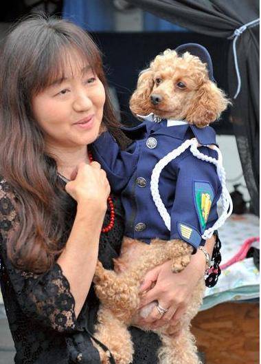 泰迪犬运动量并不大,也不能用这几个方法遛狗,损害非常大 泰迪犬运动量并不大,也不能用这几个方法遛狗,损害非常大