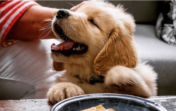 �޹���ʵ�����壬����ֻ�Ǵ����ϲ�����Ҳ����Щ�洦