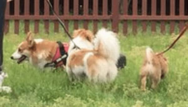 �޹������������Ϊʲô?