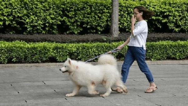 5�ֲ���ȷ���޹�������ǧ��������Թ�������