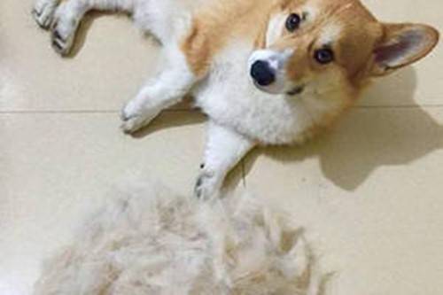 һ��»�Ȯ��ë�Ƚ����ظ���ô��