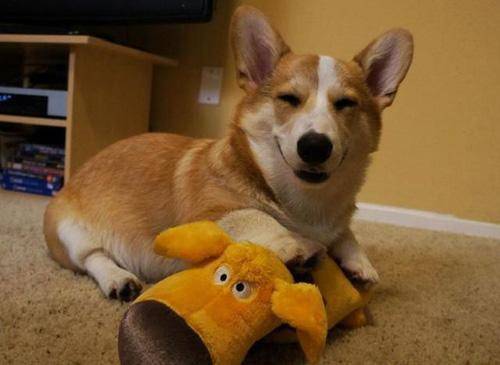 һ��»�Ȯ��ë�Ƚ����ظ���ô��