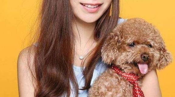 什么狗最好养?这5种不但性格好,还不掉毛 什么狗最好养?这5种不但性格好,还不掉毛