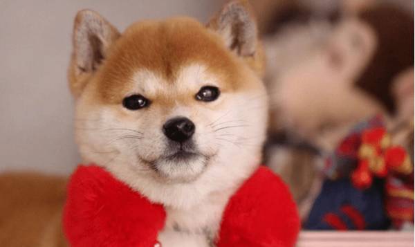 �յ��ҵ���Ȯ����ע��ʲô��