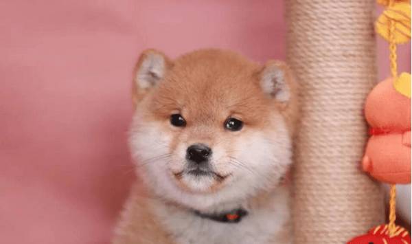 �յ��ҵ���Ȯ����ע��ʲô��