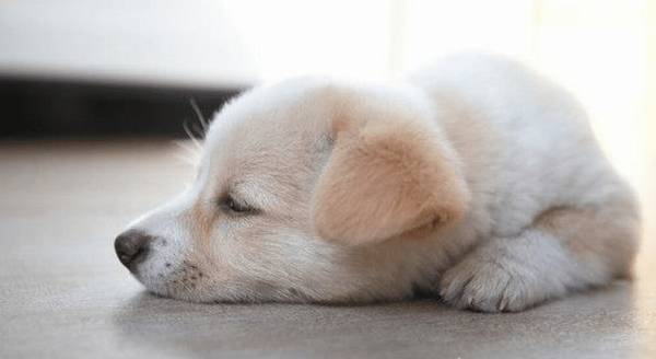 ��ѧ�߳�����ȮҪ������Щ��