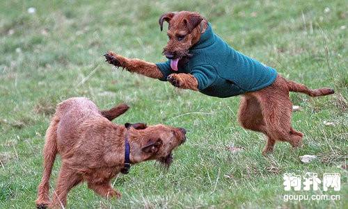 ������������顿��������Ȯ��ʷ��������ò����