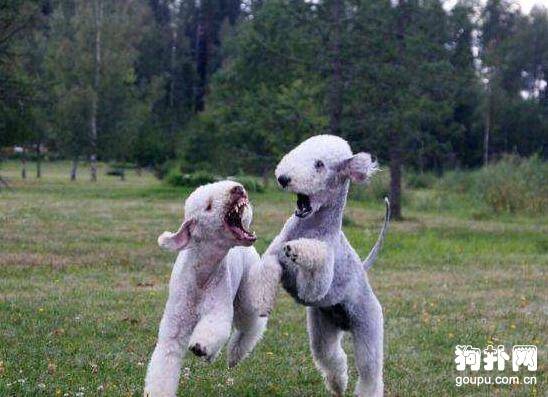 ���������������Ȯ