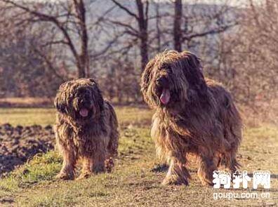 ������Ƥëʲô����»ᷢ���仯