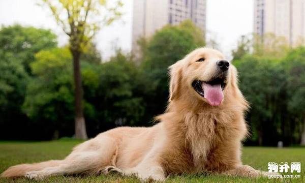 �����ĺ�������Щ�ô���