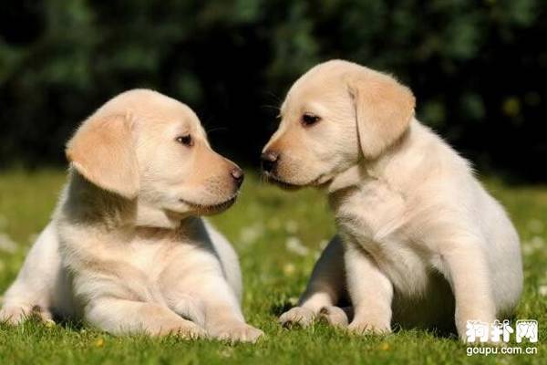 ��Ȯһ������Դ�����