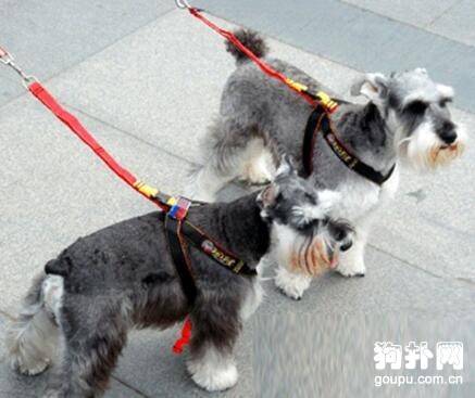 ���������ȷʹ��ǣ����